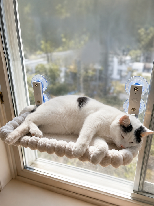 Cat Window Hammock with Suction Cups – Cozy Perch